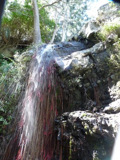 cascade bras rouge